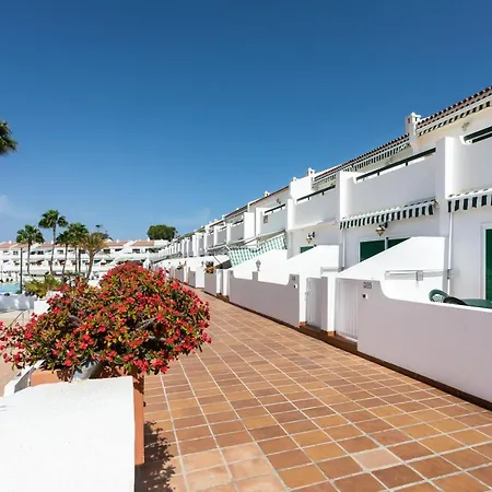 Live Don Jose 205 Apartament Arona (Tenerife)